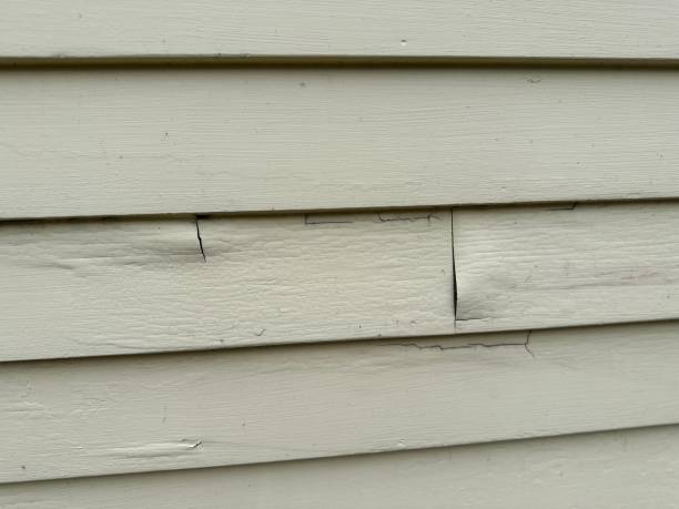 Best Construction Debris Removal  in Imperial, MO